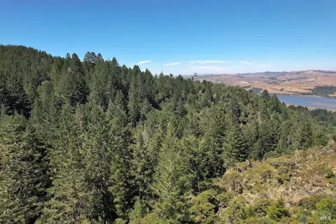 0 W Robert Dr, Inverness, CA 94937 photo 9