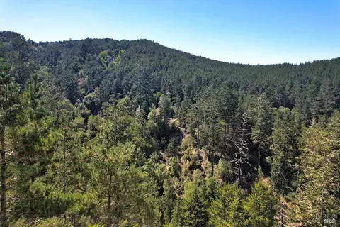 0 W Robert Dr, Inverness, CA 94937 photo 10