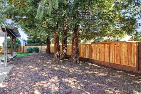 352 Biggs Ct, Windsor, CA 95492 photo 46