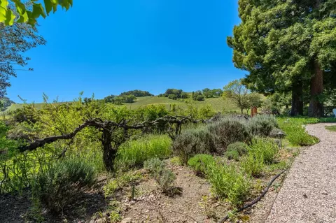 1033 Stonebridge Dr, Napa, CA 94558 photo 58