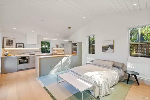 82 Walnut Ave, Mill Valley, CA 94941 photo 53