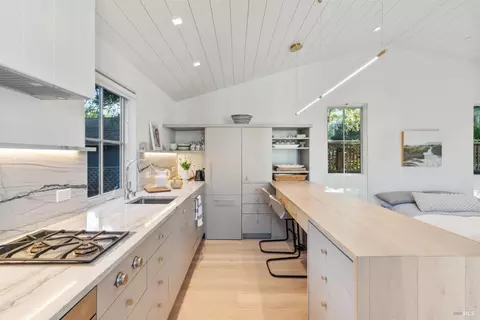 82 Walnut Ave, Mill Valley, CA 94941 photo 54