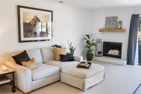 3 Swift Ct, Mill Valley, CA 94941