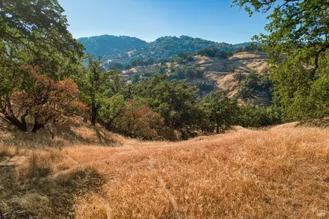 Exterior - 4540 Moose Rd, Ukiah, CA 95482 photo 7 of 7