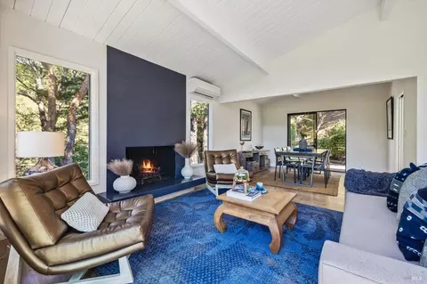 33 Cushing Dr, Mill Valley, CA 94941 photo 7