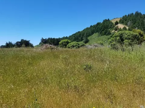 44570 Pomo Lake Dr, Manchester, CA 95459