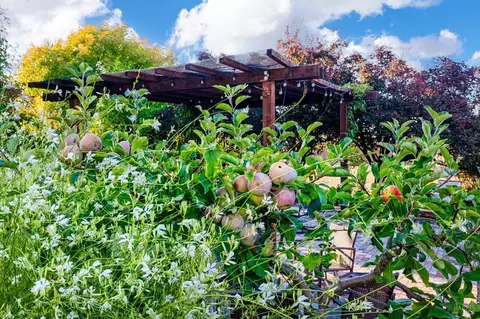 Exterior - 6802 Grove St, Cotati, CA 94931 photo 8 of 18