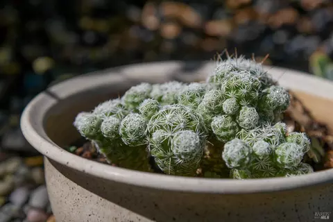510 3rd St, Vallejo, CA 94590 photo 34