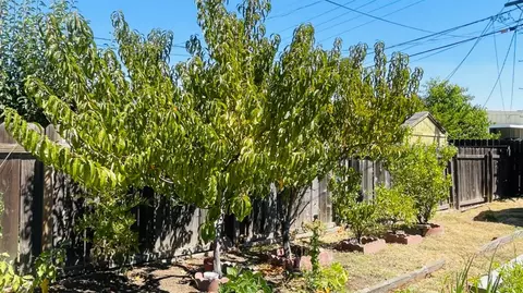1230 Wilson St, Fairfield, CA 94533 photo 25
