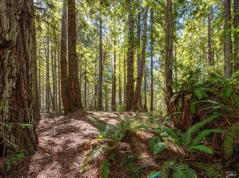 389 Indian Close, The Sea Ranch, CA 95497
