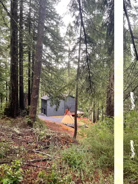 16220 Bittner Rd, Occidental, CA 95465 photo 46