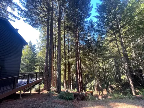 16220 Bittner Rd, Occidental, CA 95465 photo 39