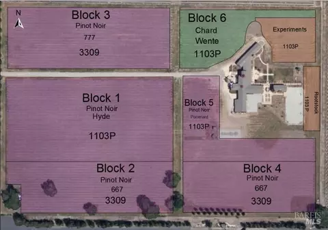 View/Area - 21200 8th St E, Sonoma, CA 95476 photo 3 of 3