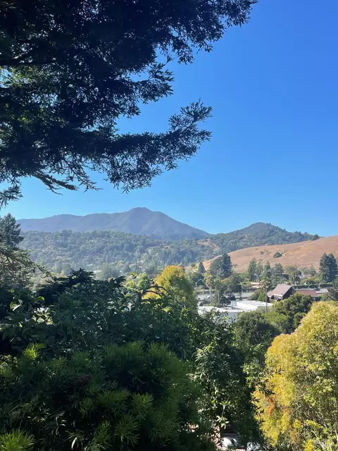 57 N Knoll Rd, Mill Valley, CA 94941 photo 34