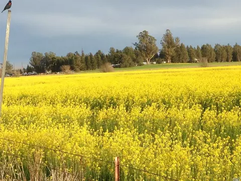 595 Stony Point Rd, Petaluma, CA 94952