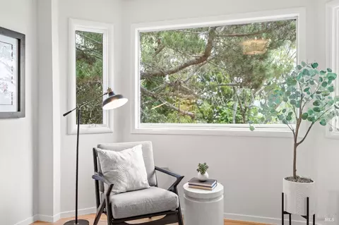 102 Ricardo Rd, Mill Valley, CA 94941 photo 18