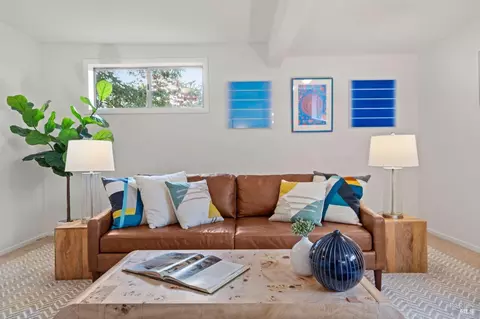 102 Ricardo Rd, Mill Valley, CA 94941 photo 25