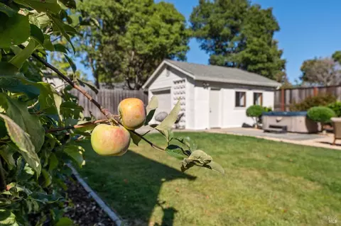 70 Ryan Ave, Mill Valley, CA 94941 photo 33