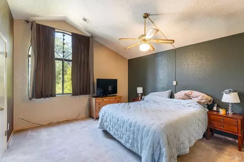 101 Elsbree Cir, Windsor, CA 95492 photo 22