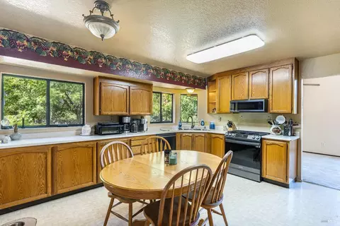 101 Elsbree Cir, Windsor, CA 95492 photo 12