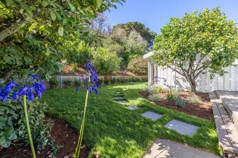 228 Richardson Dr, Mill Valley, CA 94941 photo 26