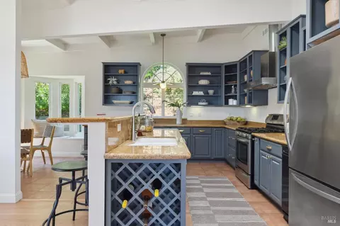 228 Richardson Dr, Mill Valley, CA 94941 photo 19