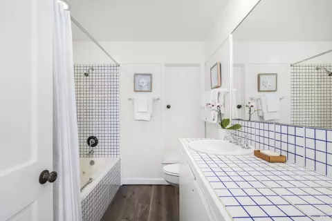 388 Hillside Ave, Mill Valley, CA 94941 photo 42