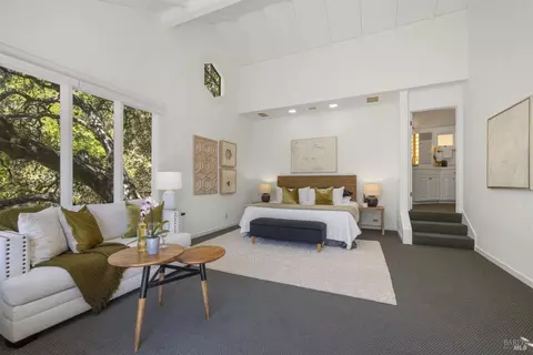 388 Hillside Ave, Mill Valley, CA 94941 photo 23