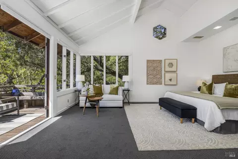 388 Hillside Ave, Mill Valley, CA 94941 photo 22