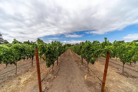 1049 4th Ave, Napa, CA 94559 photo 19