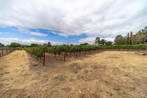 1049 4th Ave, Napa, CA 94559 photo 17