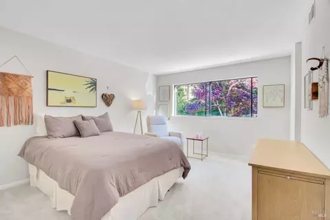 8 Elegant Tern Rd, Novato, CA 94949 photo 15