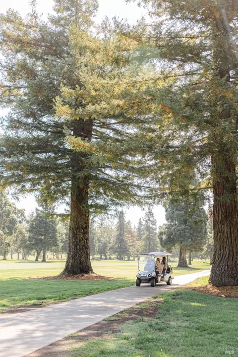 Other - 400 Troon Dr, Napa, CA 94558 photo 14 of 16