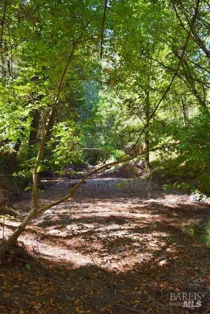 8189 Tyrone Rd, Occidental, CA 95462 photo 20