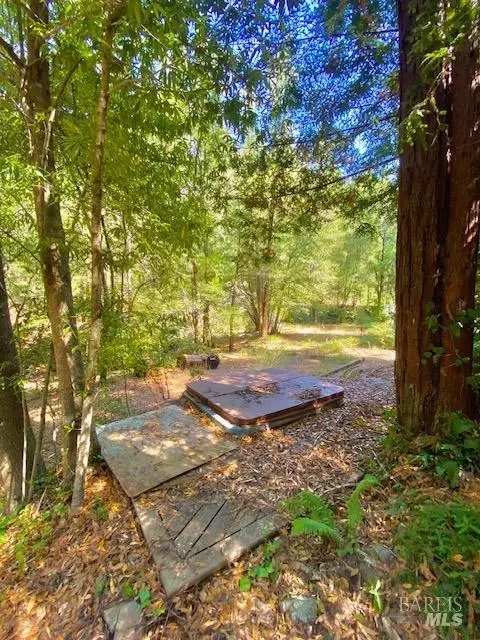8189 Tyrone Rd, Occidental, CA 95462 photo 8