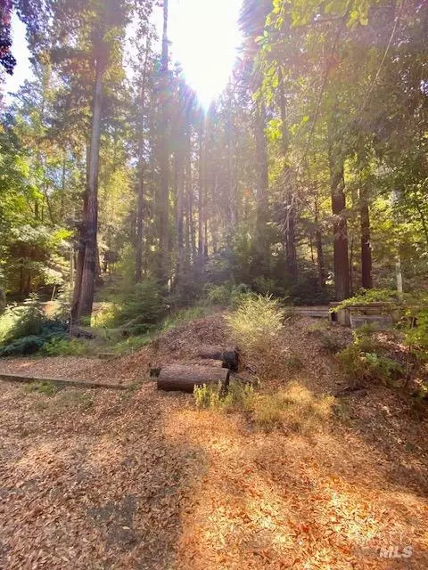8189 Tyrone Rd, Occidental, CA 95462 photo 5