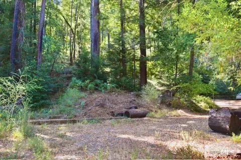 8189 Tyrone Rd, Occidental, CA 95462 photo 22