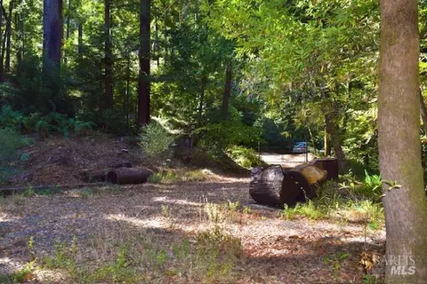 8189 Tyrone Rd, Occidental, CA 95462 photo 21