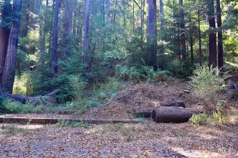 8189 Tyrone Rd, Occidental, CA 95462 photo 24