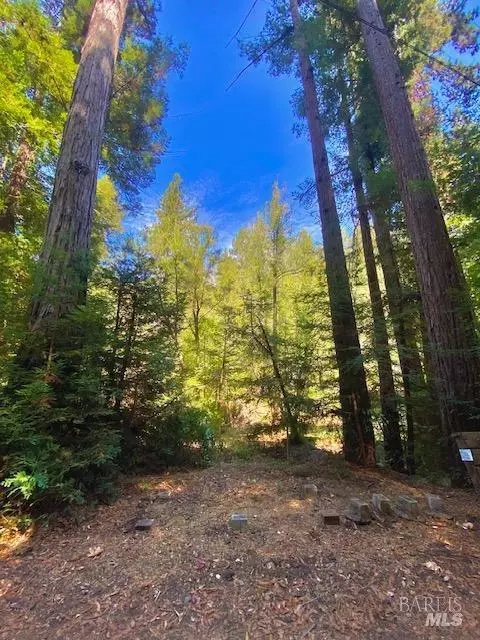 8189 Tyrone Rd, Occidental, CA 95462 photo 9