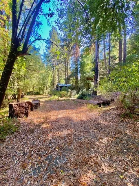 8189 Tyrone Rd, Occidental, CA 95462 photo 4