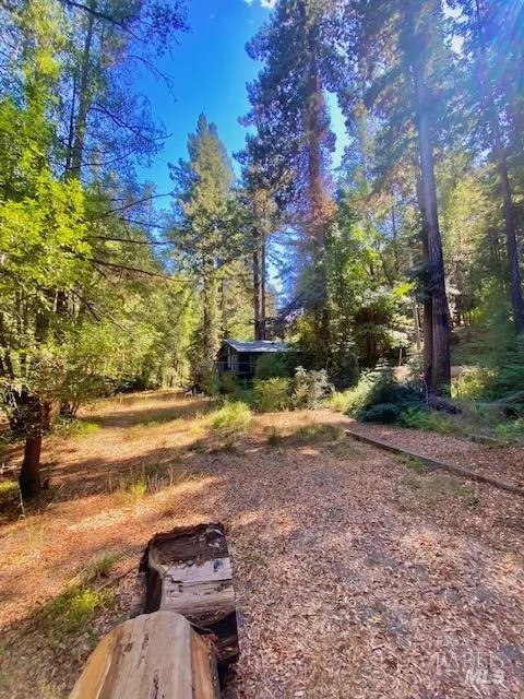 8189 Tyrone Rd, Occidental, CA 95462 photo 7