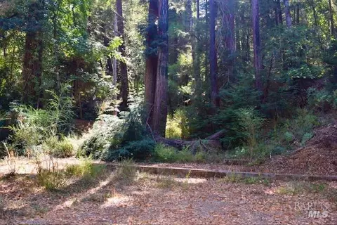 8189 Tyrone Rd, Occidental, CA 95462 photo 23