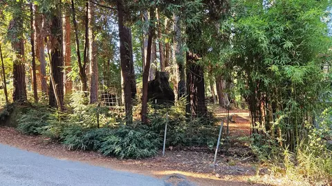 17337 Park Ave, Guerneville, CA 95446