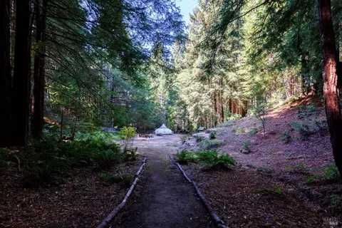 Exterior - 16115 Bittner Rd, Occidental, CA 95465 photo 15 of 17