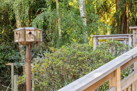 Exterior - 550 Salmon Creek Rd, Bodega, CA 94922 photo 5 of 42