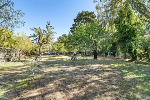 Exterior - 550 Salmon Creek Rd, Bodega, CA 94922 photo 26 of 42
