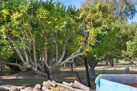 Exterior - 550 Salmon Creek Rd, Bodega, CA 94922 photo 22 of 42