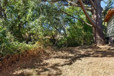 Exterior - 550 Salmon Creek Rd, Bodega, CA 94922 photo 31 of 42