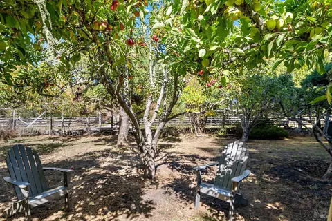 Exterior - 550 Salmon Creek Rd, Bodega, CA 94922 photo 27 of 42